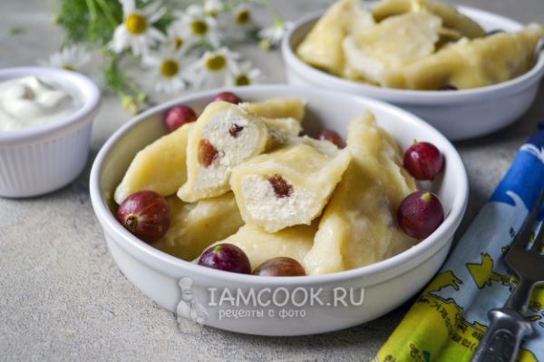 Вареники с творогом из рисовой муки